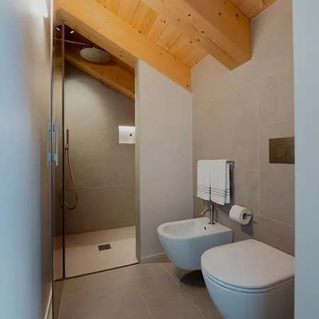 ホテル Mostesi Dolomites 3*