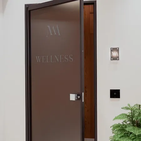 فندق Mostesi Dolomites *