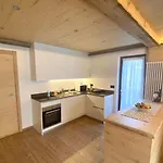 Отель Mostesi Dolomites Ауронцо-ди-Кадоре