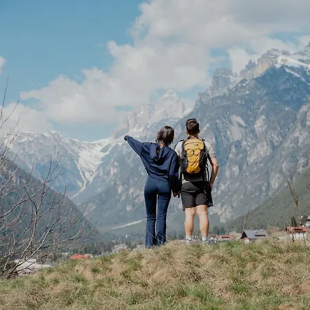 Mostesi Dolomites فندق *