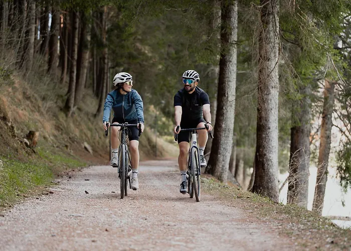 Hotel Mostesi Dolomites *